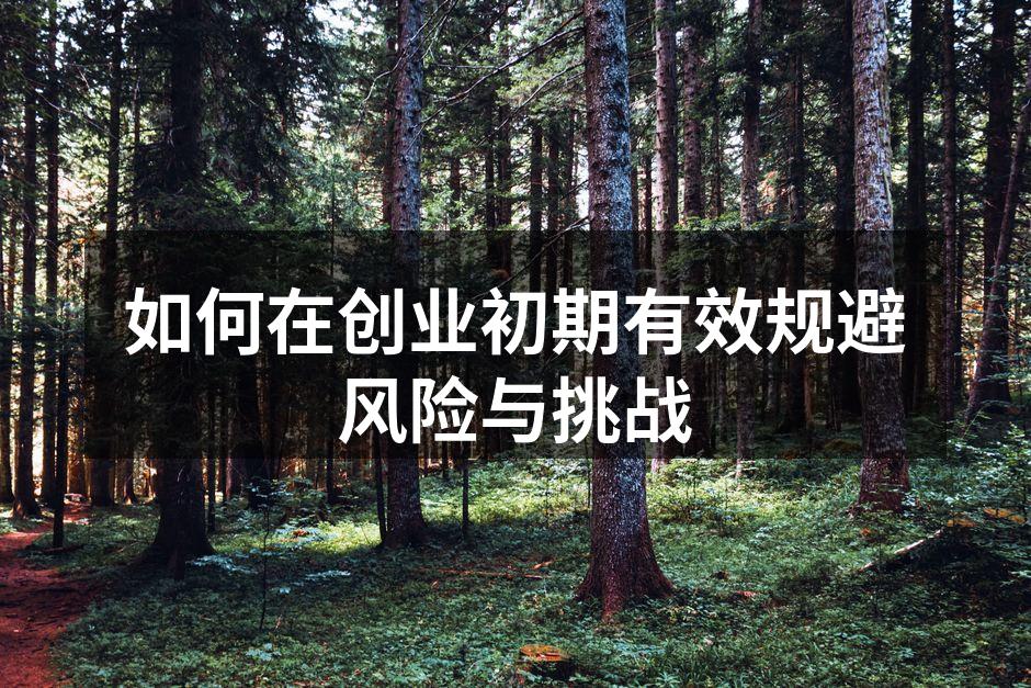 如何在创业初期有效规避风险与挑战