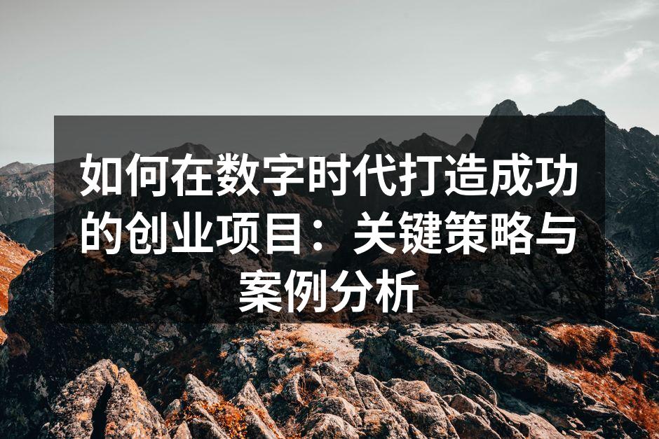如何在数字时代打造成功的创业项目：关键策略与案例分析